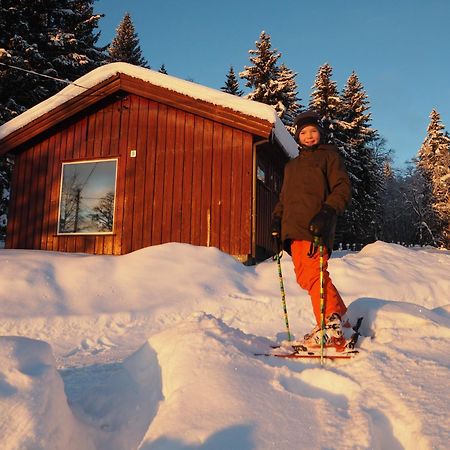 Cabin With Great View Close To Town And Ski Area ليلّيهامّير المظهر الخارجي الصورة