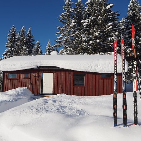 Cabin With Great View Close To Town And Ski Area ليلّيهامّير المظهر الخارجي الصورة