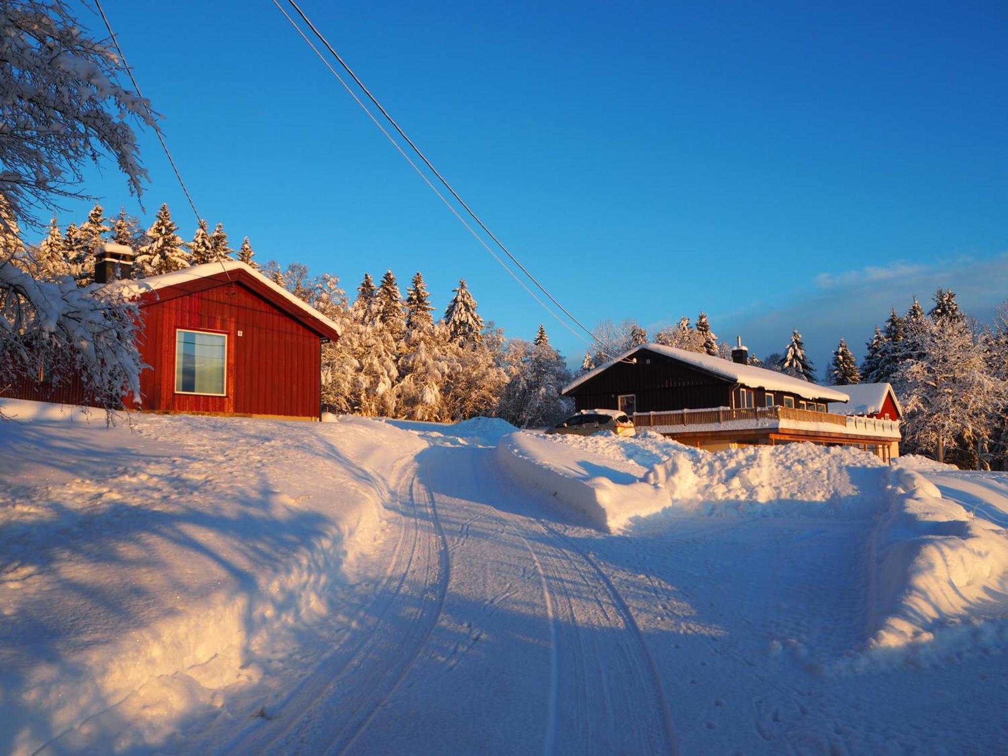 Cabin With Great View Close To Town And Ski Area ليلّيهامّير المظهر الخارجي الصورة