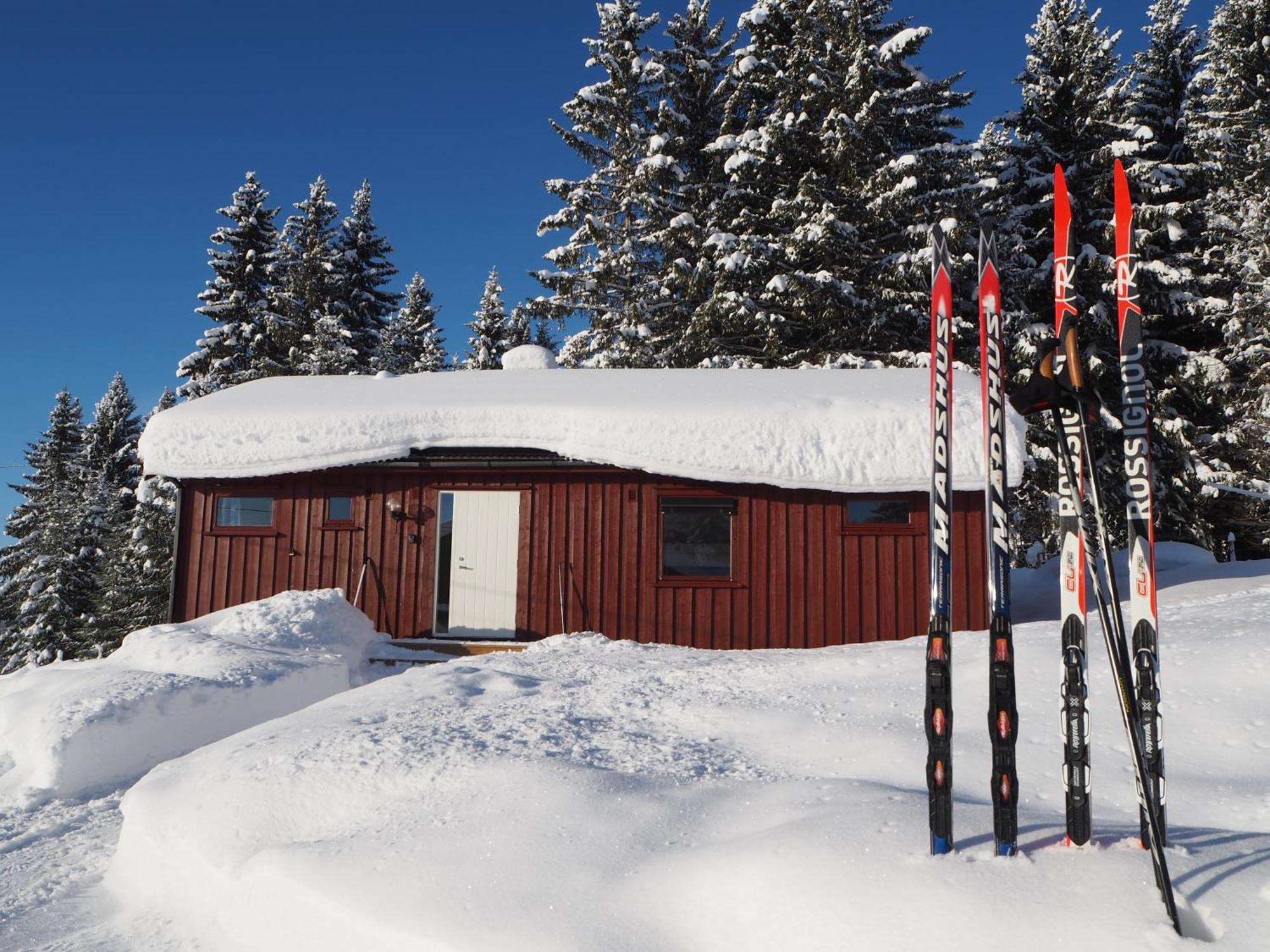 Cabin With Great View Close To Town And Ski Area ليلّيهامّير المظهر الخارجي الصورة